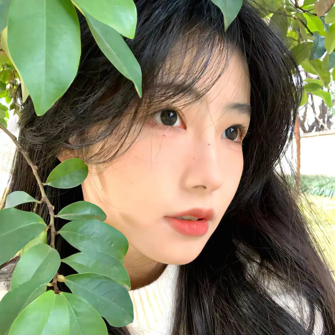私枭复仇记